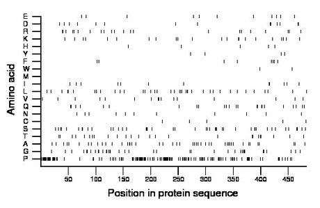 amino acid map