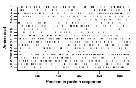 amino acid map