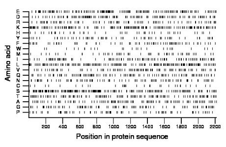 amino acid map