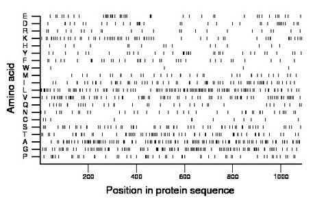 amino acid map