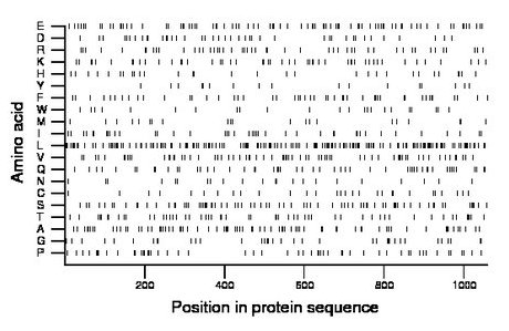 amino acid map