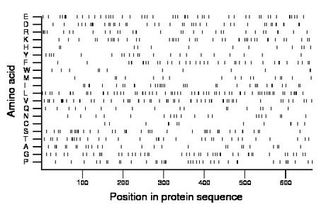 amino acid map