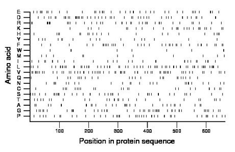 amino acid map