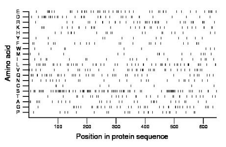 amino acid map