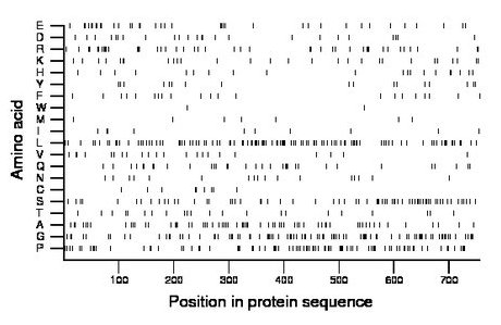 amino acid map