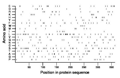 amino acid map