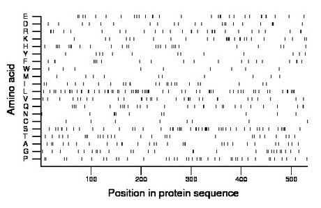 amino acid map