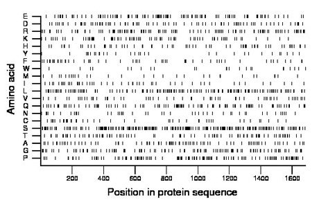 amino acid map