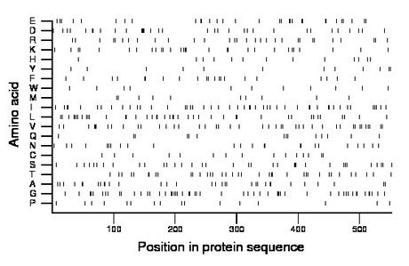 amino acid map