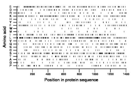 amino acid map