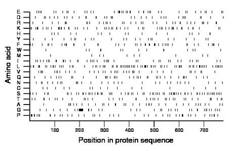 amino acid map