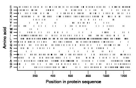 amino acid map