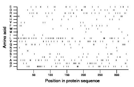 amino acid map