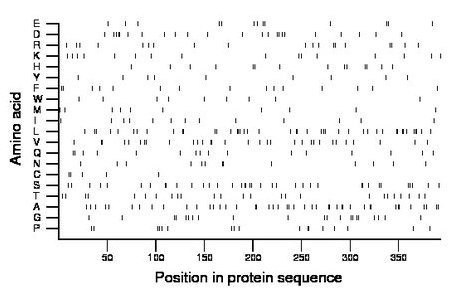 amino acid map