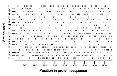 amino acid map