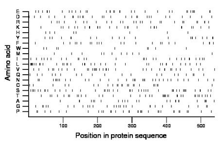 amino acid map