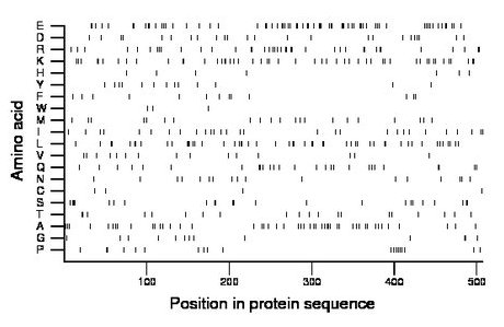 amino acid map