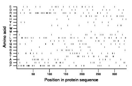 amino acid map