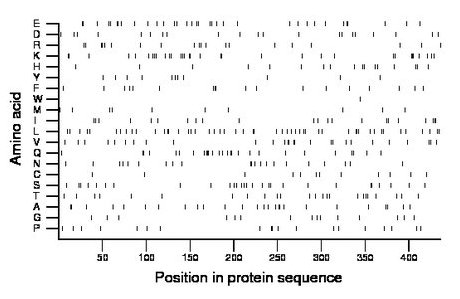 amino acid map