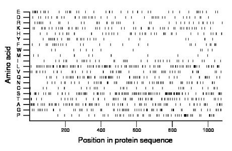 amino acid map