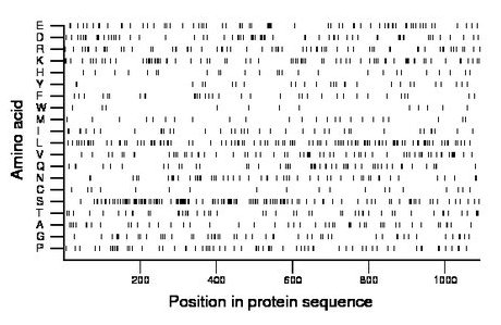 amino acid map