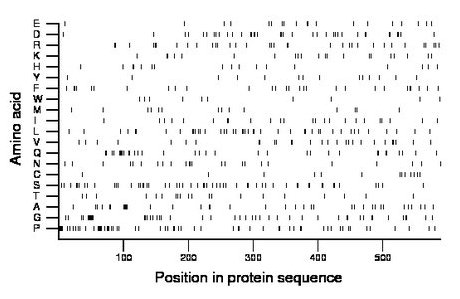 amino acid map