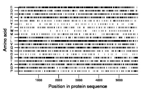 amino acid map