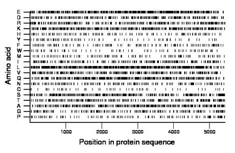 amino acid map