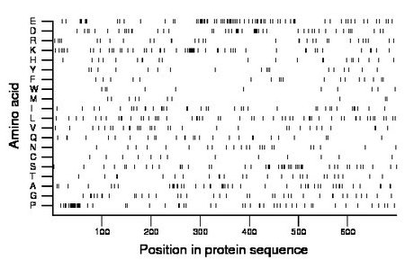 amino acid map