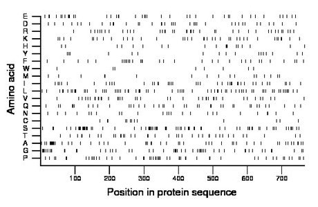 amino acid map