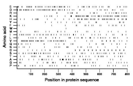 amino acid map