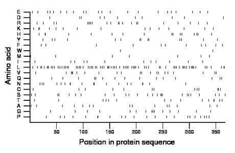 amino acid map