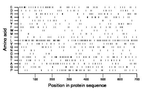 amino acid map