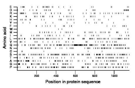 amino acid map