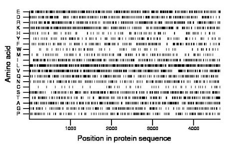 amino acid map