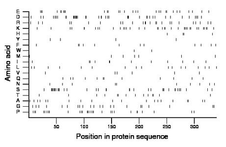 amino acid map