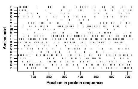 amino acid map