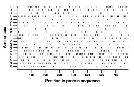 amino acid map