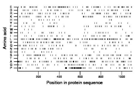 amino acid map