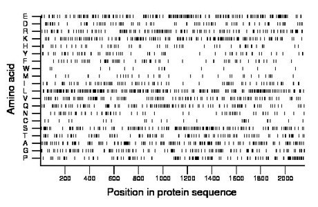 amino acid map