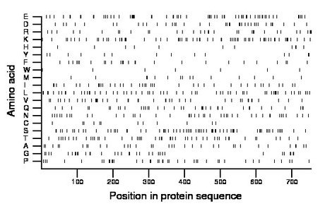 amino acid map