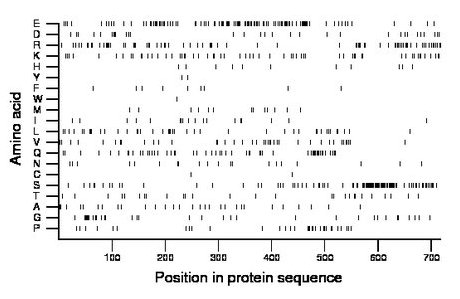 amino acid map