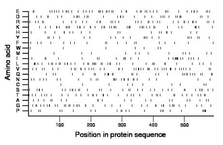 amino acid map