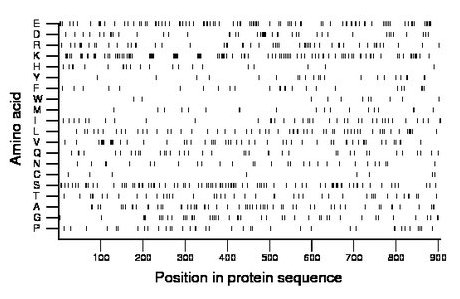 amino acid map