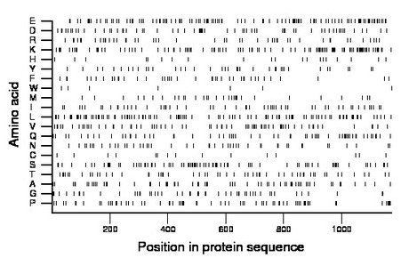 amino acid map