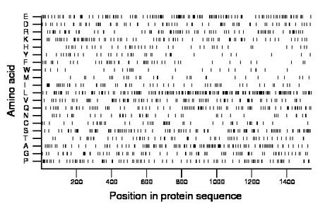 amino acid map