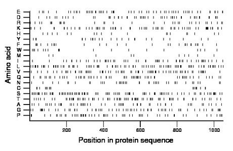 amino acid map