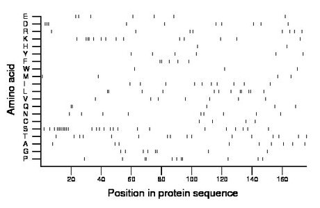 amino acid map