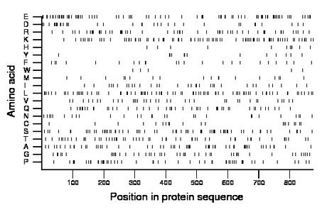 amino acid map