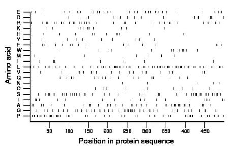 amino acid map